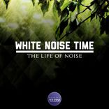 Artwork for "The Life of Noise"