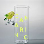 Portada para "Canarino"