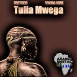 Portada para "Tulia Mwega"