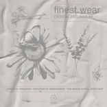 Process of Emergence