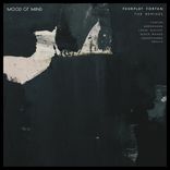 Artwork for "Fortan remixes"