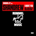 Artwork for "I Want You"