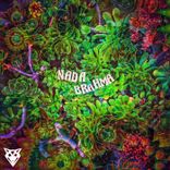 Portada para "Nada Brahma"