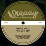 Artwork for "Vibe Cuts, Vol. 2"