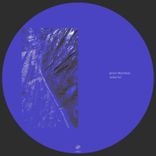 Portada para "Salida 461"