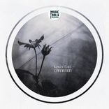 Portada para "Carnation"