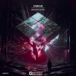 Artwork voor "Breaking Down"