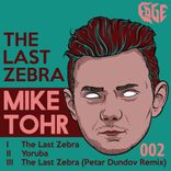 Artwork voor "The Last Zebra"