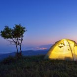 Portada para "Cicada Sounds (Loopable)"