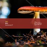 Artwork voor "Synchronicity EP"