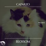 Artwork for "Blossom"