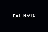 Palinoia