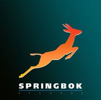 Springbok Records