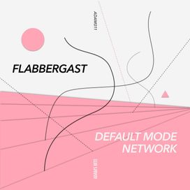 Default Mode Network