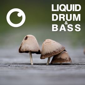 Liquid Drum & Bass Sessions 2020 Vol 20 : The Mix