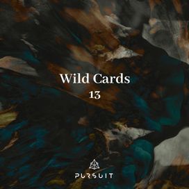 Wild Cards 13