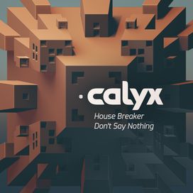 House Breaker / Don't Say Nothing