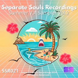 Separate Souls Recordings - Summer VA Sampler Vol 2