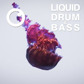 Liquid Drum & Bass Sessions 2020 Vol 24 : The Mix