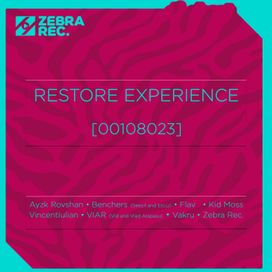 Restore Experience [00108023]