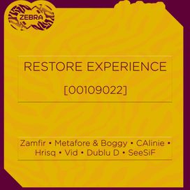 Restore Experience [00109022]
