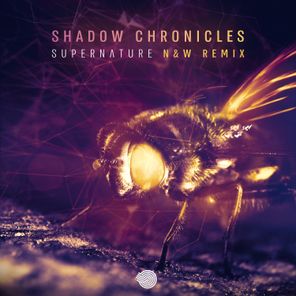 Supernature (N & W Remix)