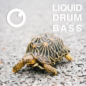 Liquid Drum & Bass Sessions #53