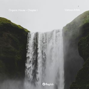 Organic House - Chapter I