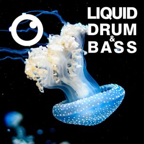 Liquid Drum & Bass Sessions 2020 Vol 26 : The Mix