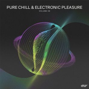 Pure Chill & Electronic Pleasure, Vol.09