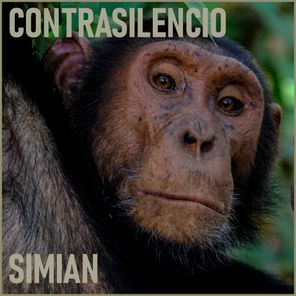 Simian