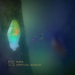 Spiritual Worlds