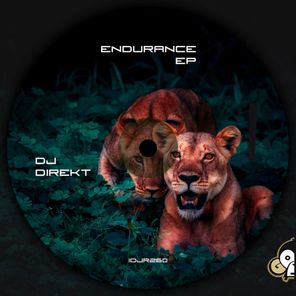 Endurance EP