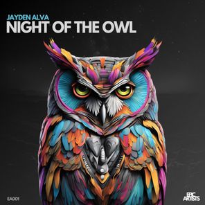 Night of the owl