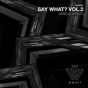 Say What?, Vol. 2