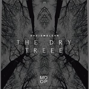 The Dry Tree
