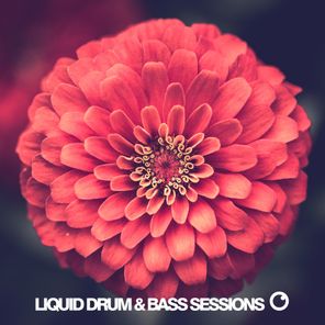 Liquid Drum & Bass Sessions 2020 Vol 8