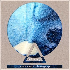 Submerge 2016