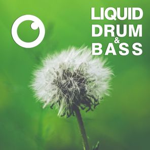 Liquid Drum & Bass Sessions 2021 Vol 41 : The Mix