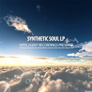 Synthetic Soul