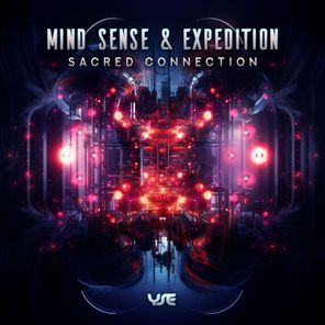 Sacred Connection