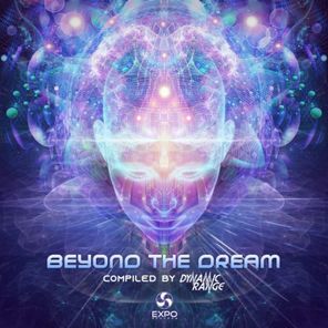 Beyond the Dream Compiled by Dynamic Range