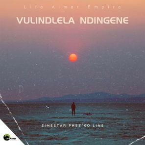 Vulindlela Ndingene