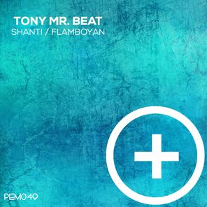 Shanti / Flamboyan