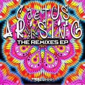 The Remixes