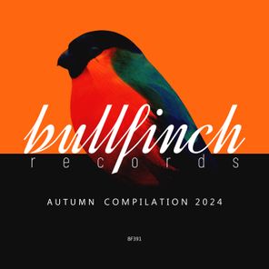 Bullfinch Autumn 2024 Compilation