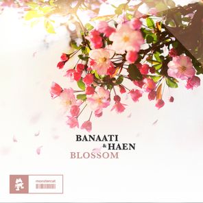 Blossom