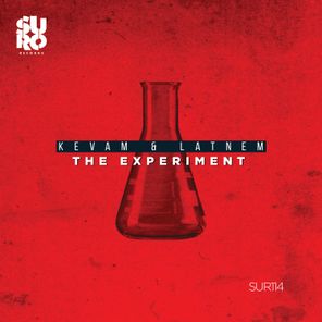 The Experiment