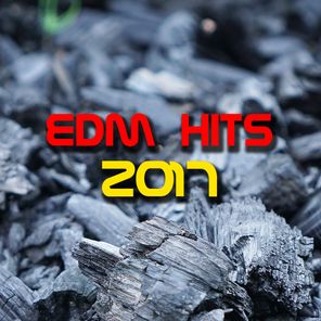 EDM Hits 2017