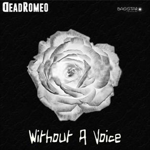 Without a Voice